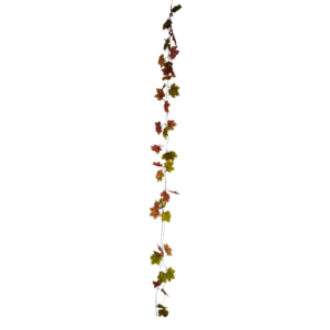 Plantas Colgantes Colores REF NO-202312