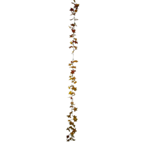 Plantas Colgantes Colores REF Tipo Estrella