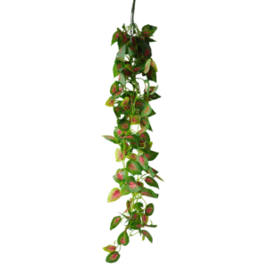 Plantas Colgantes REF 304668-2