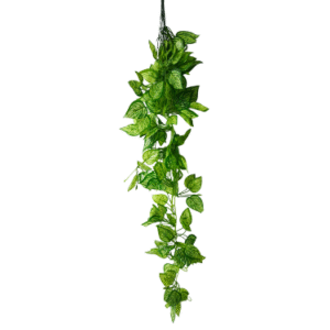 Plantas Colgantes REF 304668-3