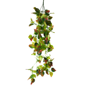 Plantas Colgantes REF 304668-4