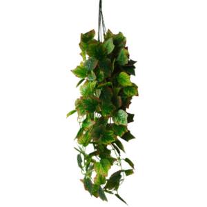 Plantas Colgantes REF 8005-1