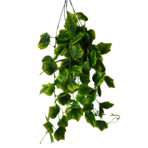 Plantas Colgantes REF 8005-2