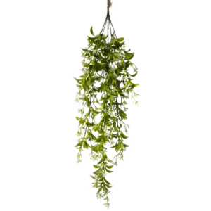 Plantas Colgantes REF 8379