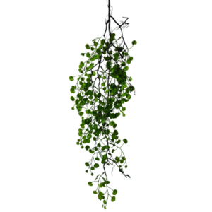 Plantas Colgantes REF 8465