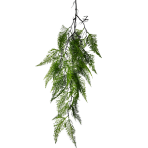 Plantas Colgantes REF 8467 Claro