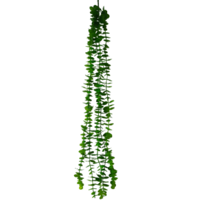 Plantas Colgantes REF 8558 Botones
