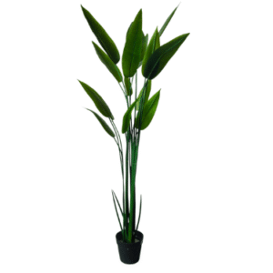 Plantas Grandes REF DKZ-9141