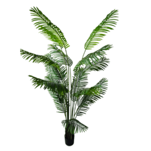 Plantas Grandes REF TL 0456