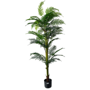 Plantas Grandes REF TL 0457