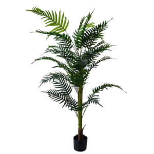 Plantas Grandes REF TL 0458