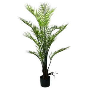 Plantas Grandes REF XY-SWK-120A