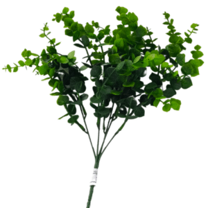 Plantas Pequeñas REF SLOO6-1