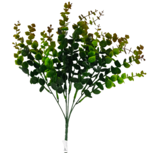 Plantas Pequeñas REF SLOO6-2