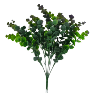 Planta Pequeña REF SLOO6-3