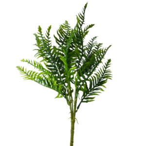 Plantas Pequeñas REF SLOO7-1