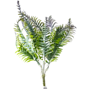 Planta Pequeña REF SLOO7-3