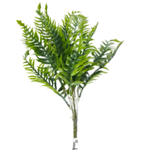 Planta Pequeña REF SLOO7-4