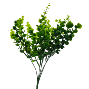 Planta Pequeña REF SLOO9
