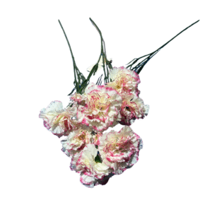 CLAVEL MULTICOLOR REF 8535 UNIDAD