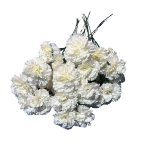 CLAVEL BLANCO UNIDAD REF: 8535