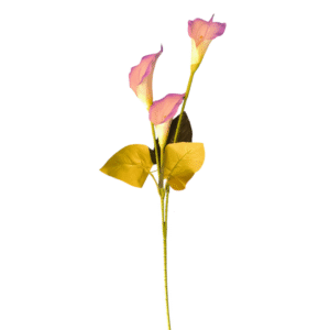 F0010 cartuchos variedad color 3