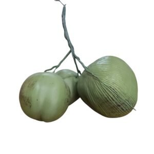 Cocos DKZ9077