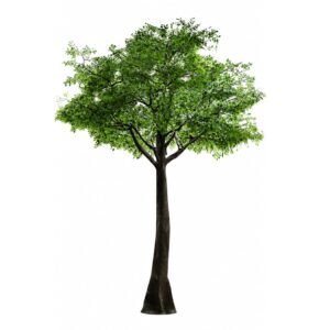 Arbol1